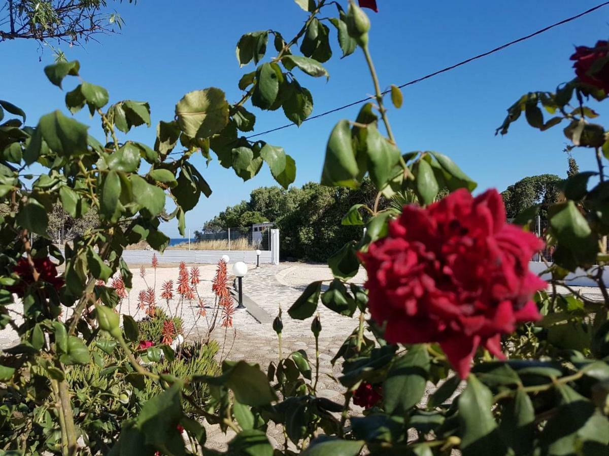 Villa Fantasea Plimmiri Bagian luar foto